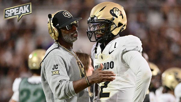 的职业生涯 的职业生涯