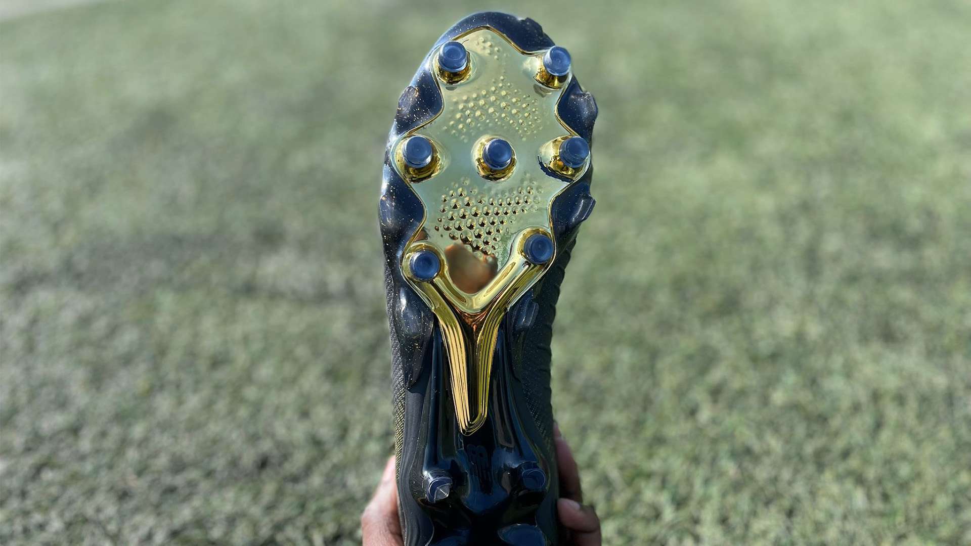 球队带来了 球队带来了